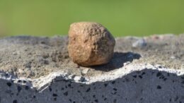 Kamień na macewie na cmentarzu żydowskim