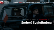 Strona internetowa Polskiej Fundacji Narodowej