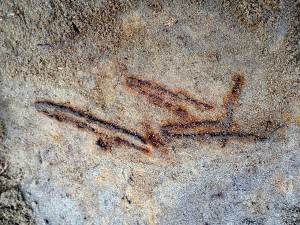Pozostałości urządzeń mechanicznych wykorzystanych przez Niemców do likwidacji obozu, photo credit: Yoram Haimi, Israel Antiquities Authority